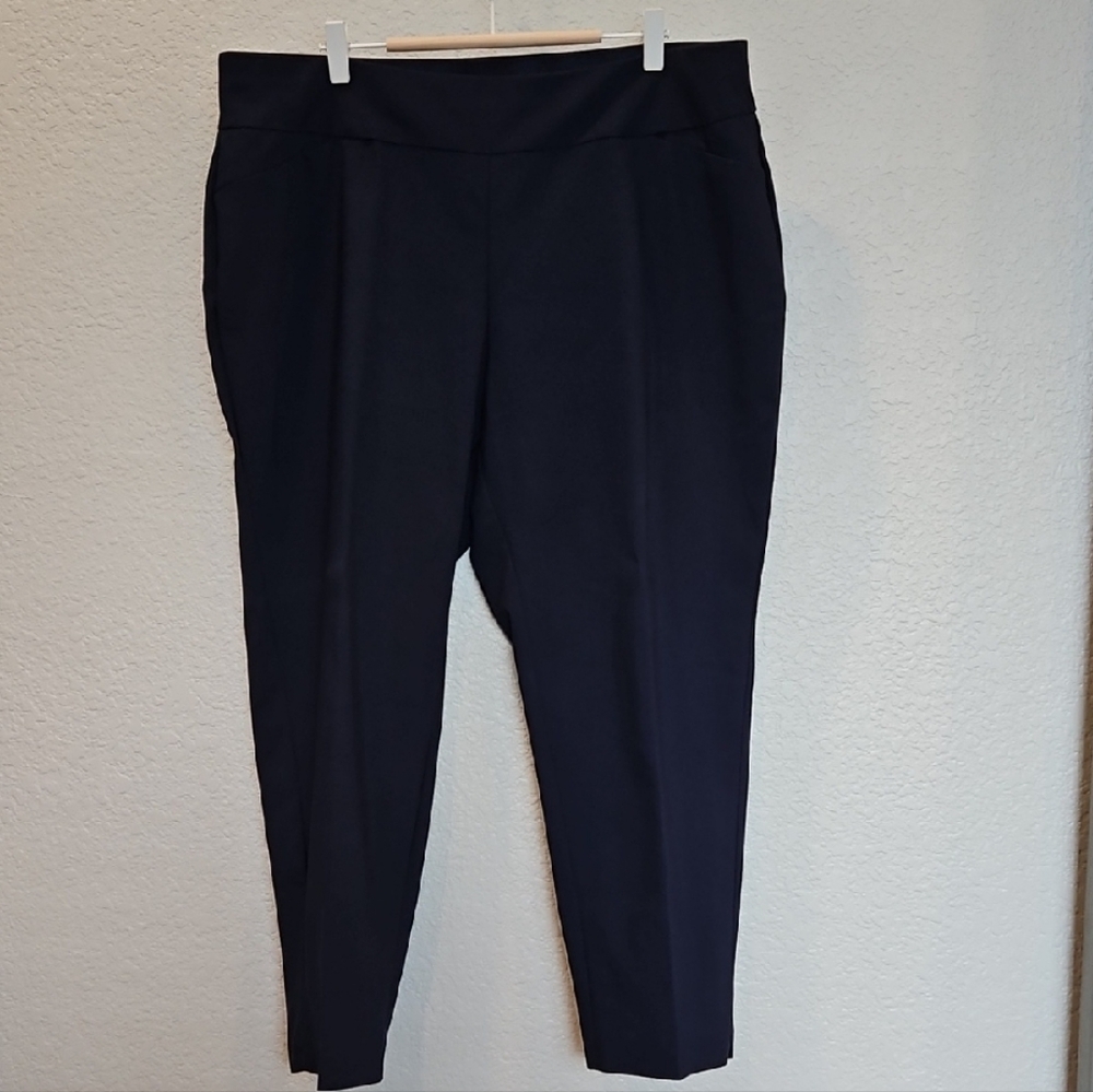 Investments Navy Ankle Pants